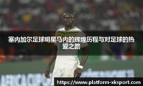 星空体育官网入口